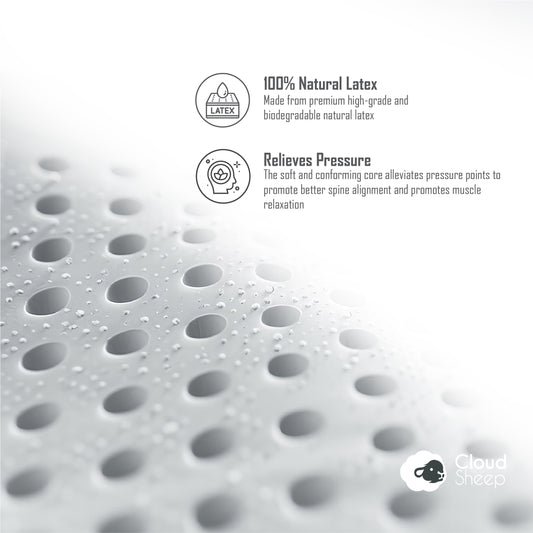 NOSTO Oakley Contour Latex Pillow